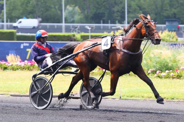 La photo de Gamin Jaba Arrivée Quinté+ PMU Prix du Quercy à Vincennes