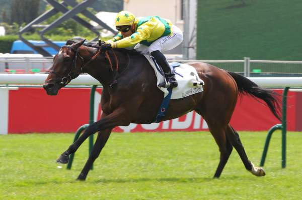 La photo de Horizon Dore Prix Ridgway (L) Hippodrome de Longchamp 