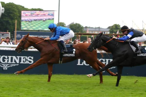 La photo de Tribalist Prix Bertrand du Breuil (Gr.3) Hippodrome de Chantilly