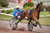 La photo de Kotkie Prix de la Place Dupleix Hippodrome d'Enghien 