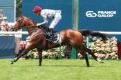 La photo de Al Ghadeer Derby des Pur-Sang Arabes de 4 ans Hippodrome de Chantilly