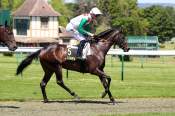 La photo de Sogniamo Prix des Belles Demoiselles Hippodrome de Compiègne 