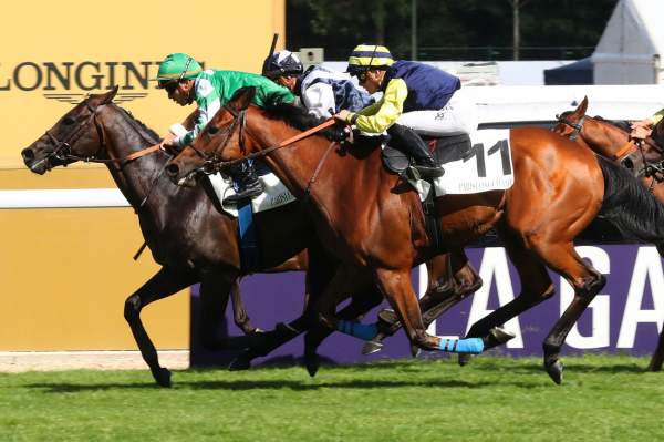 La photo de Gaylor Senora Prix du Défilé Hippodrome de Longchamp 