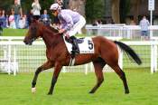 La photo de Treizieme Prix de Tancarville Hippodrome de Deauville 