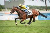 La photo de The Top Gatsby Prix Clear Nettoyage Hippodrome de La Teste 