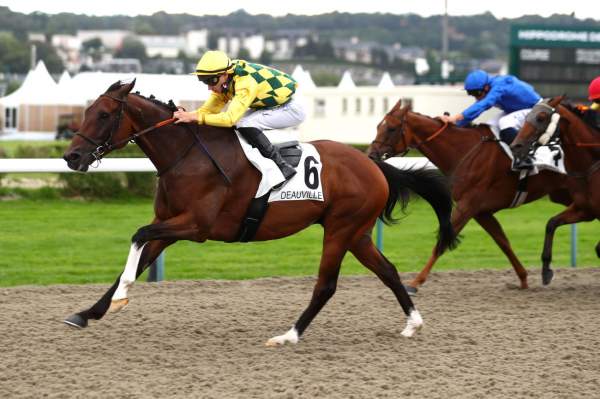 La photo de Lanaken Arrivée Quinté+ PMU Prix du Secours Populaire Français - Prix de la Villa Lucie à Deauville