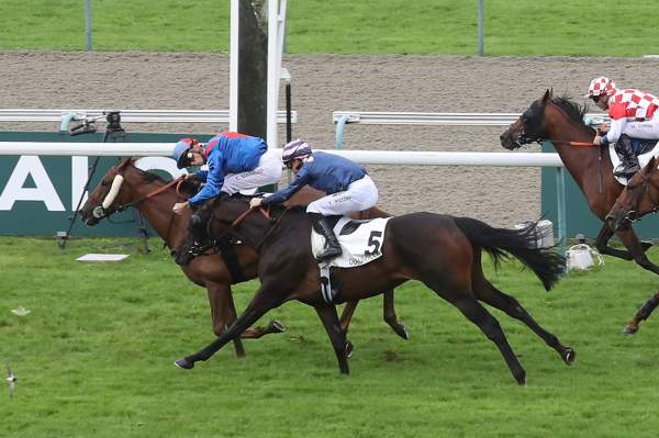 La photo de Srifanelogreen Arrivée Quinté+ PMU Prix de Barneville à Deauville