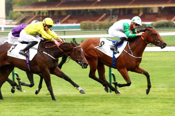 La photo de Tiger Belle Arrivée Prix d'Arenberg à ParisLongchamp