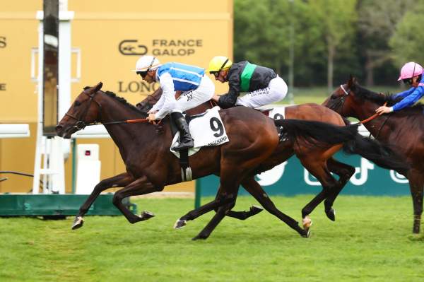 La photo de Tropisme Arrivée Quinté Pmu Prix du Bel Air à ParisLongchamp