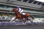 La photo de Hanielle Crepin Prix Bilibili à Vincennes 