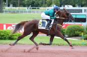 La photo de Iroko Du Loir Arrivée PMU Prix de Montevrain à Enghien 