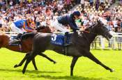 La photo de Grey Man Arrivée PMU Prix François Boutin (G3) à Deauville 