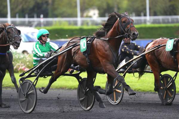 La photo de Jushua Tree Arrivée PMU Prix Gaston Brunet - Critérium 4 Ans Q4 à Vincennes