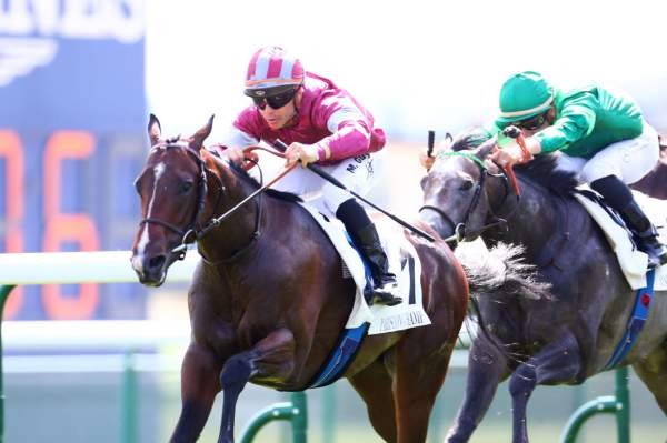 La photo de Beauvatier Arrivée PMU Prix la Rochette à ParisLongchamp