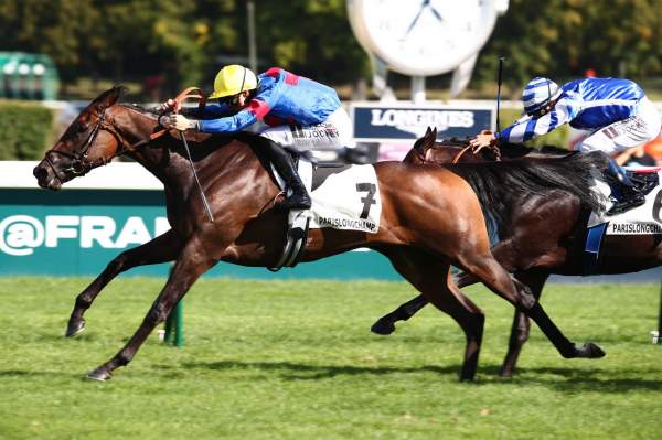 La photo de Sauterne Arrivée Pmu Prix du Moulin de Longchamp