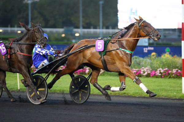 La photo de Indian Pacific Arrivée Quinté+ PMU Prix Bruna à Vincennes