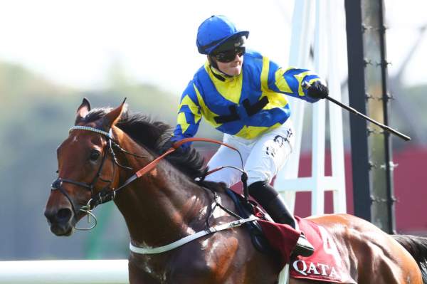 La photo de Trueshan Arrivée PMU Qatar Prix du Cadran à ParisLongchamp