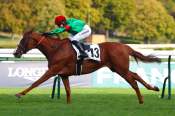 La photo de In Paradise arrivée PMU Prix de Bolivar à ParisLongchamp 