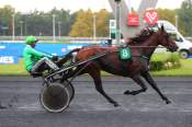 La photo de Harold Bergil arrivée PMU Prix Alkeste à ParisVincennes 