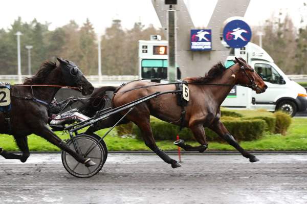 La photo de Gibus Arrivée PMU Quinté+ Prix de Poitiers à Vincennes