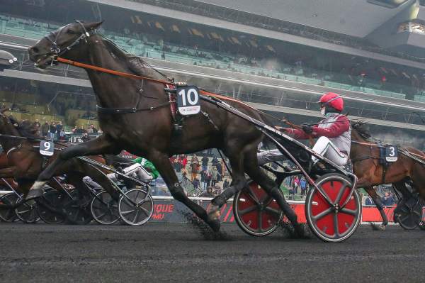 La photo de Izoard Vedaquais Arrivée PMU Quinté+ Prix de Belgique - Amérique Races PMU Q6 à Vincennes