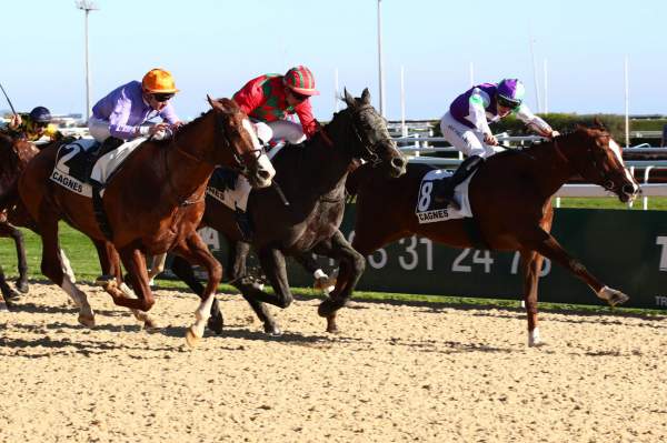 La photo de Forchester Arrivée Quinté+ Pmu Prix Charles Gastaud à Cagnes-sur-Mer