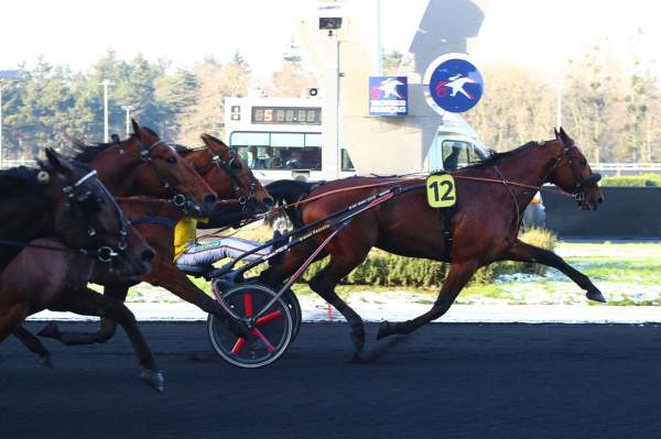 La photo de It's A Dollarmaker Arrivée PMU Quinté+ Prix de Brest à Vincennes