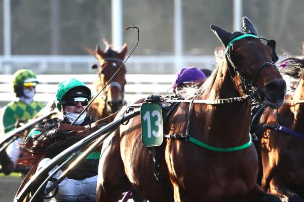 La photo de Krack Time Atout Arrivée PMU Pick5 Prix Ourasi - Swc 4 ans Finale samedi à Vincennes