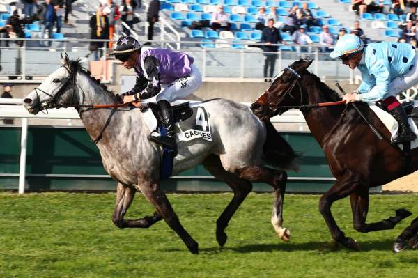 La photo de Magellan Arrivée Quinté+ Pmu Prix du Languedoc à Cagnes-sur-Mer