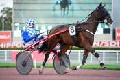 La photo de Horse De Grammont 