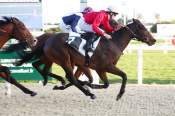 La photo de Marlowe arrivée PMU Prix des Lacs à Cagnes-sur-Mer