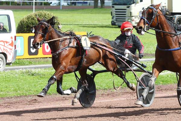 La photo de LUCKY GUY BOKO