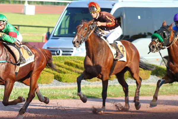 La photo de INDIGO BEACH