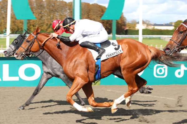 La photo de Central Park West Arrivée Quinté+ Pmu Prix de la Chambre du Duc à Chantilly