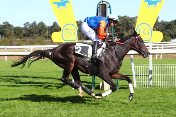 La photo de LE LION D'ANJOU