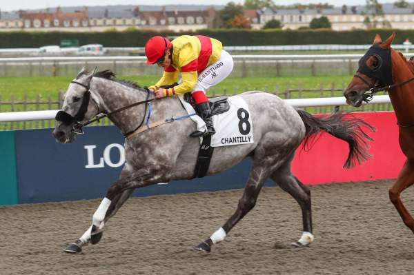 La photo de SILVER CONDOR