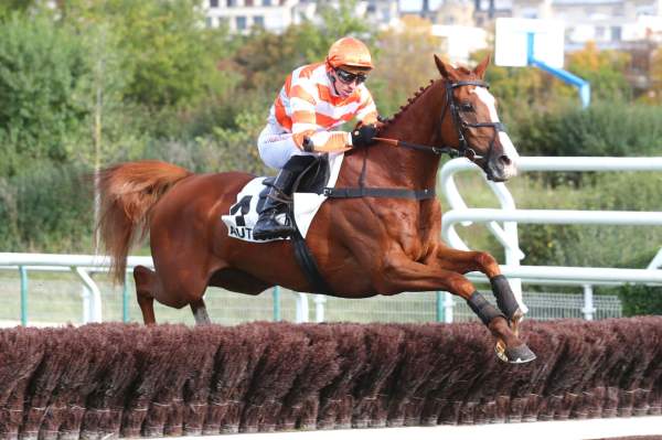 La photo de Marvel De Cerisy arrivée Quinté+ pmu Prix André Adele à Auteuil