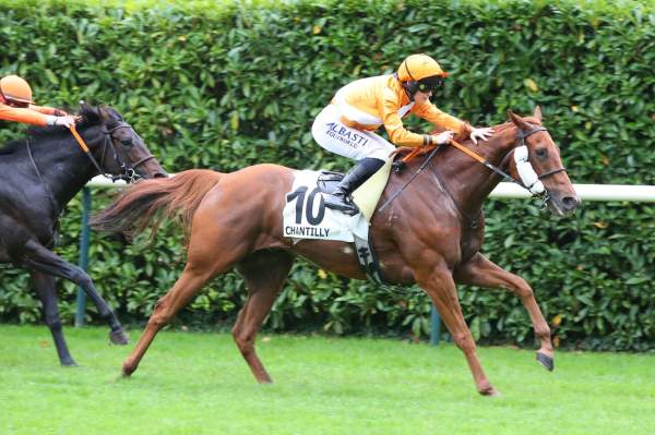 La photo de Scarface Arrivée Quinté+ Pmu Prix de la Vierge de la Lorette à Chantilly