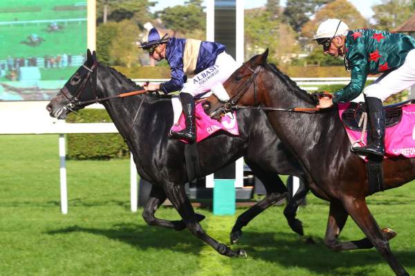 La photo de Que Bella Arrivée Quinté+ Pmu Prix des Equidays à Clairefontaine