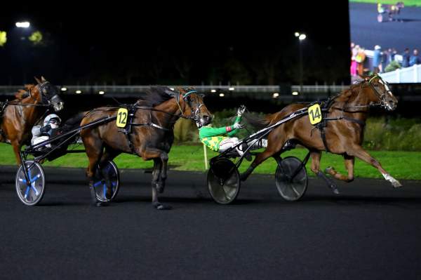 La photo de Joumba De Guez Arrivée Quinté+ PMU Prix Pierre Van Troyen à Vincennes