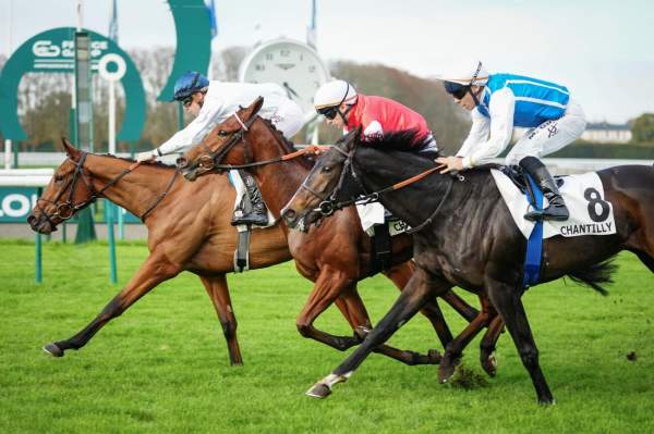 La photo de Mimos arrivée pmu Prix Miesque (Gr.3) à Chantilly