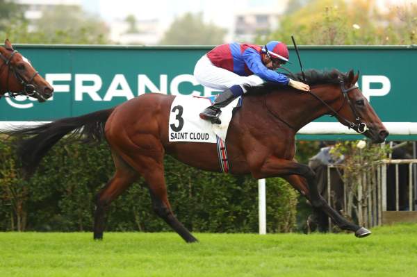 La photo de TENNESSEE STUD