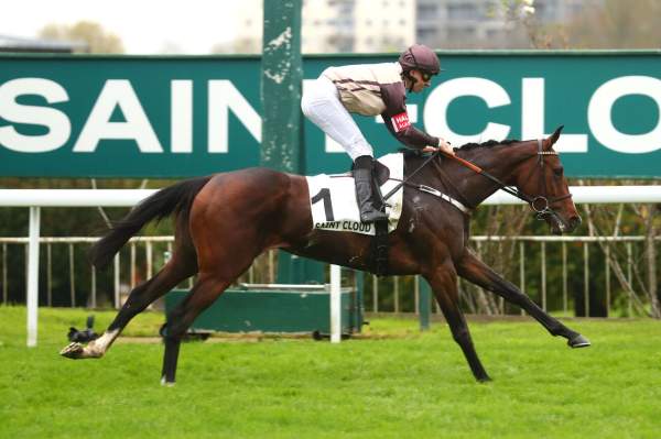 La photo de Kathina Arrivée Quinté+ PMU Prix de L'Elevage à Saint-Cloud