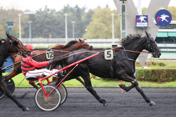 La photo de Hulysse Digeo Arrivée Quinté+ Pmu Prix de Soulac à Vincennes