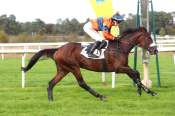 La photo de Caledonienne arrivée pmu Prix Pierre Debroise à Fontainebleau