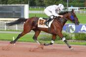 La photo de Staccato Hl arrivée pmu Prix de la Place des Fêtes à Enghien-Soisy