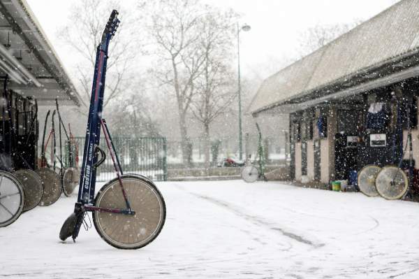 La photo de Neige Ecurie, Sulky