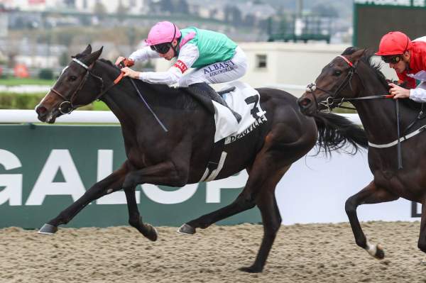 La photo de Better Together Arrivée PMU Prix Zeddaan à Deauville