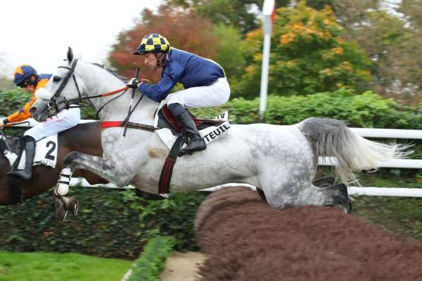 La photo de Ain't Got Wings arrivée pmu Prix Hunorisk à Auteuil