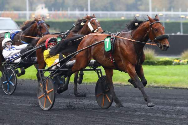 La photo de It's A Dollarmaker Arrivée PMU Prix du Languedoc à Vincennes